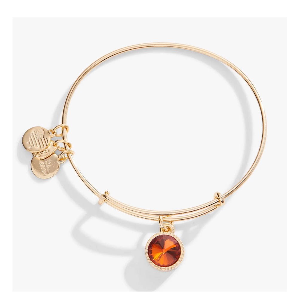 Alex and Ani Gold Bracelet with Amber Charm